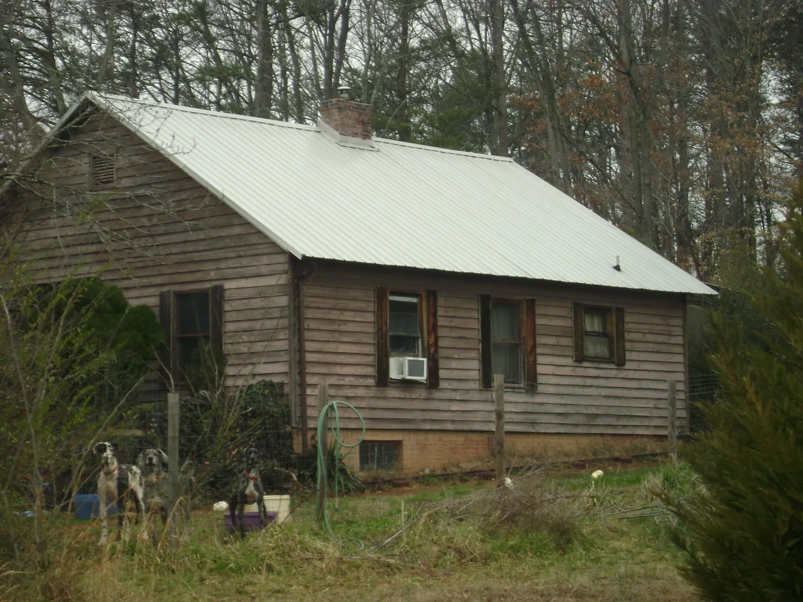 White metal roof on an old wood sided farmhouse, from a Asphalt Shingle Roof Repair job in Richland